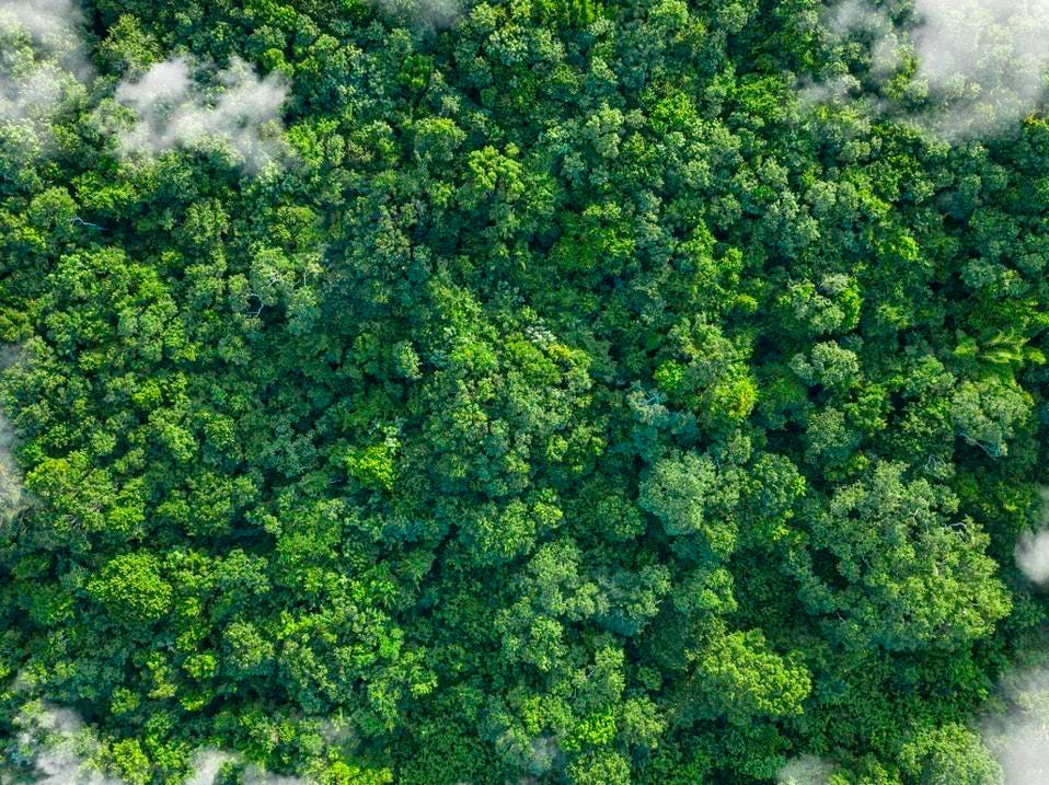 Transforming How We Connect: The Role Of Business In Decarbonizing Aviation